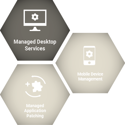 Es werden die Services Managed Desktop Services, Mobile Device Management und Managed Application Patching dargestellt.