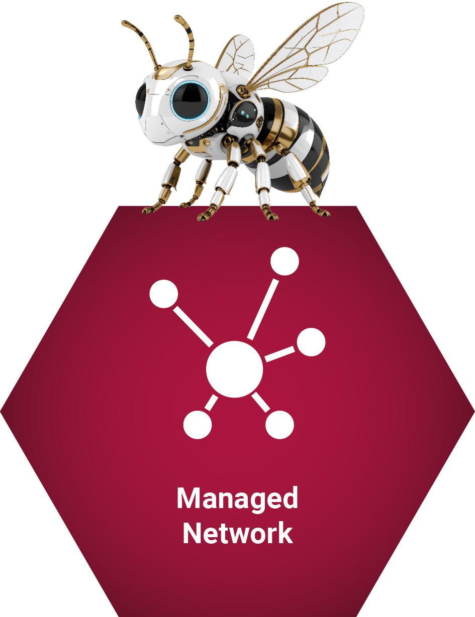  Das Service-Modul Managed Network wird hier mit seinen Services dargestellt. Diese Services sind: Managed WLAN, Managed LAN und Managed SD WAN.