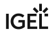 IGEL Markenlogo.