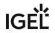 IGEL Markenlogo.
