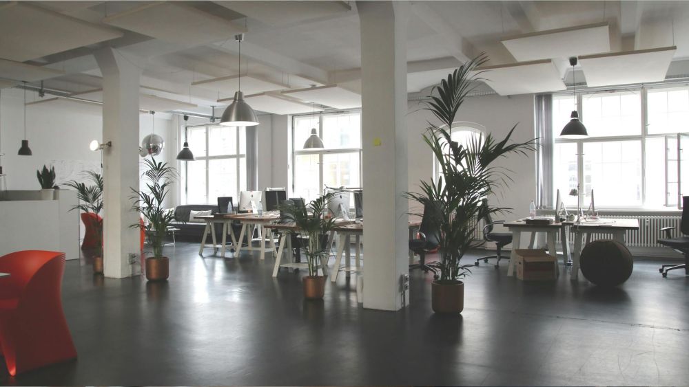 Ein modernes Büro mit Grünpflanzen, hell beleuchtete Arbeitsplätze und mehreren Sitzmöglichkeiten.