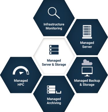 Das Service-Modul Managed Server und Storage wird hier mit seinen Services dargestellt. Diese Services sind: Infrastructure Monitoring, Managed Server, Managed Backup und Storage, Managed Archiving, Managed HPC.